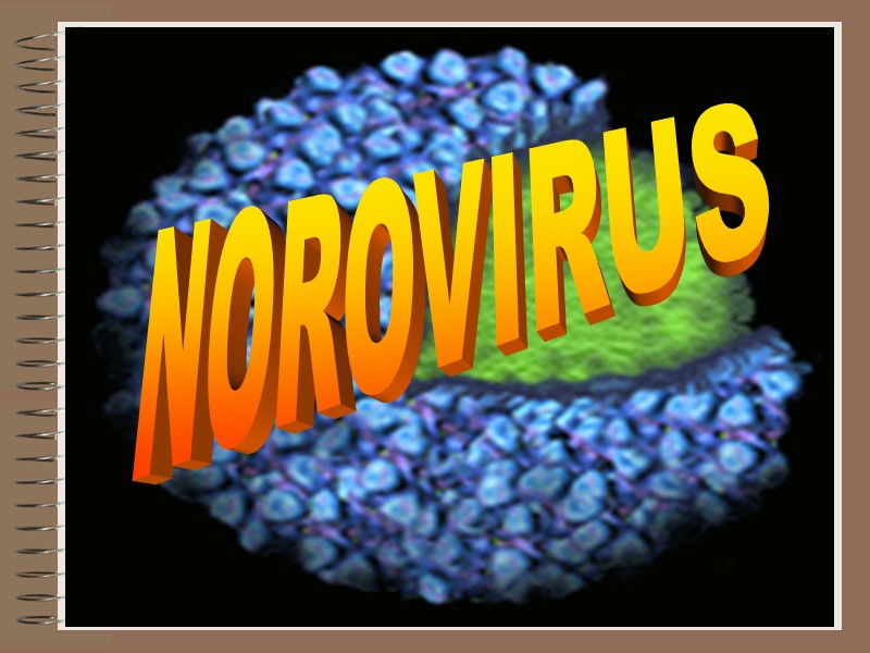Influenz NOROVIRUS